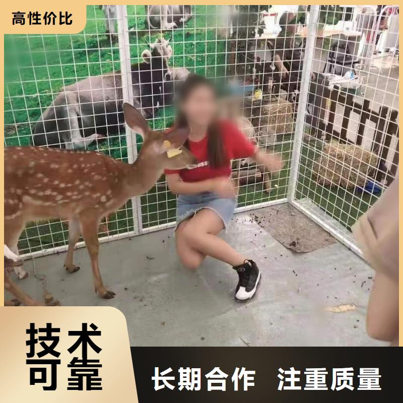 马戏团出租活动图片