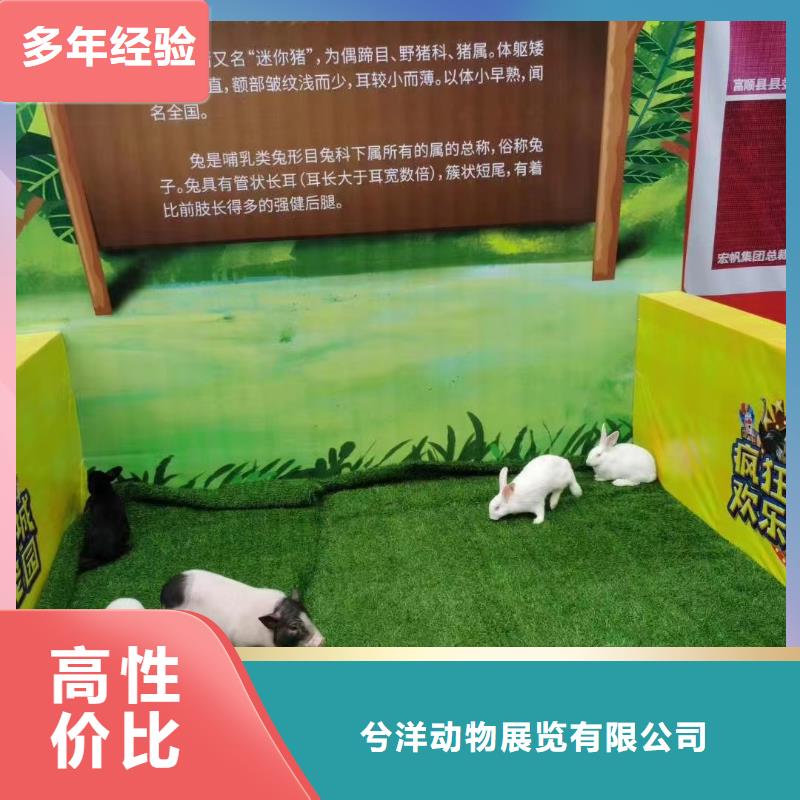 租赁马戏团表演全国承接