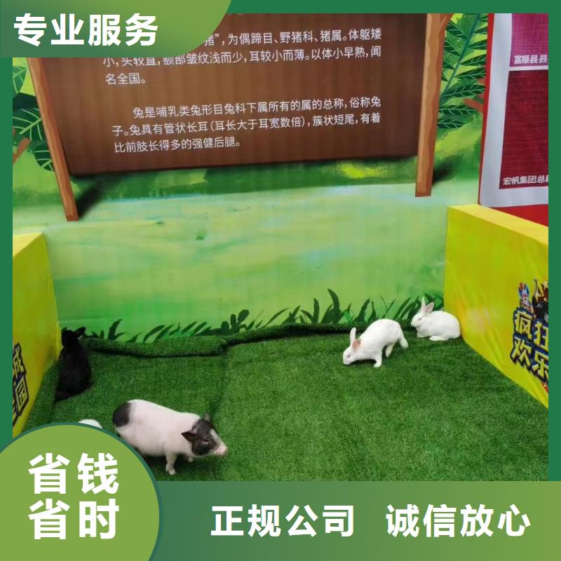 马戏团/羊驼美人鱼表演质优价廉