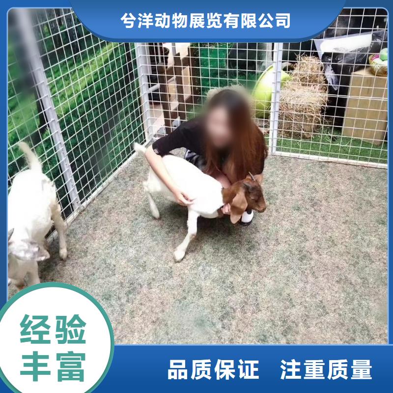 马戏团/羊驼马戏团表演出租租赁口碑商家