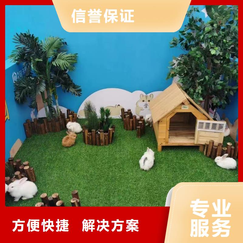马戏团表演-视频-马戏团表演-青海省海北市黄南|西宁|海东|海西|海南|果洛|玉树【本土】制造商