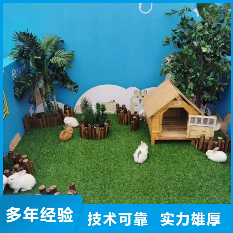 马戏团/羊驼-海洋展租赁实力公司
