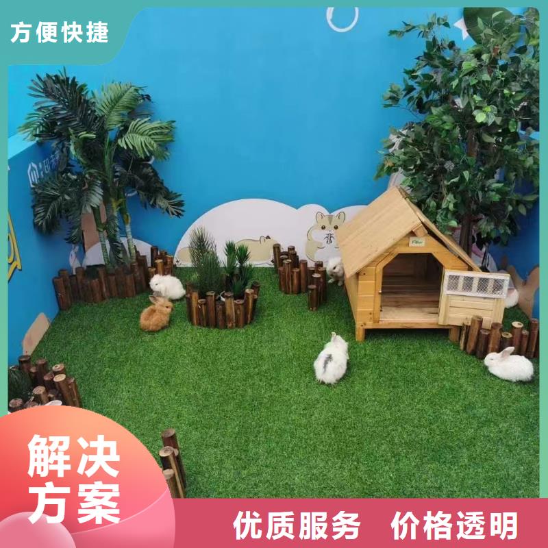 马戏团/羊驼 景区杂技表演先进的技术