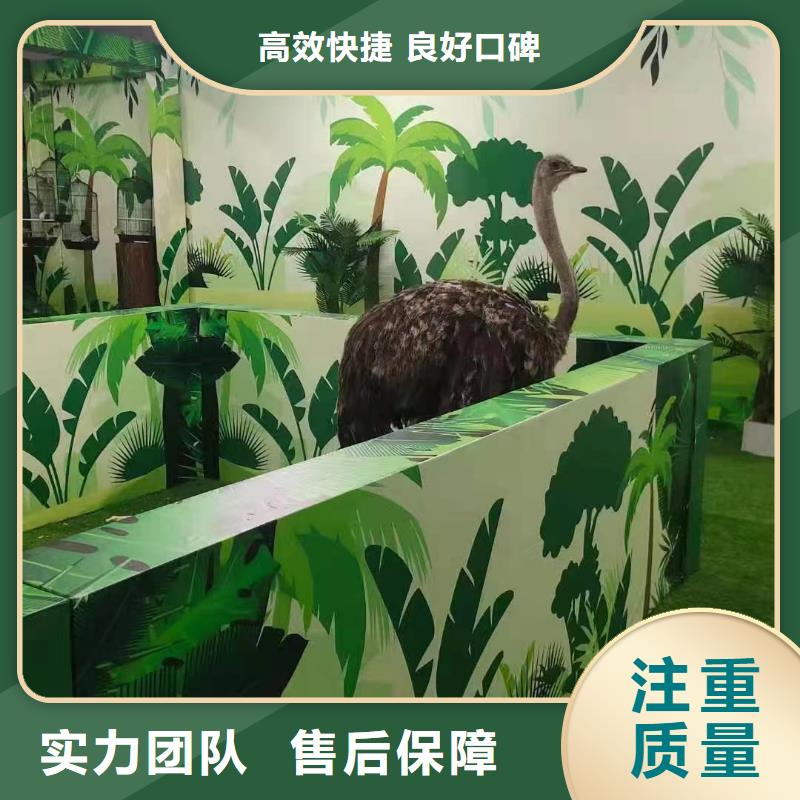 马戏团/羊驼美人鱼表演专业品质