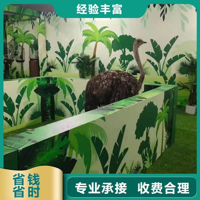 马戏团表演-视频-马戏团表演|云南省曲靖市|陆良|会泽|文山|大理|西双版纳|临沧|怒江