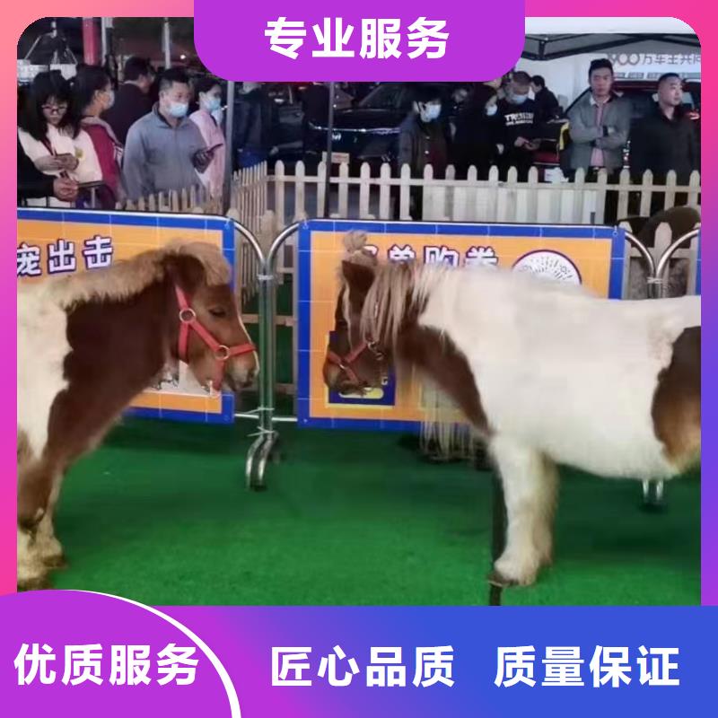 动物租赁一手资源