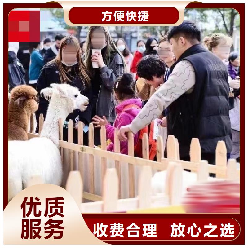 马戏团表演-视频-马戏团表演|云南省曲靖市|陆良|会泽|文山|大理|西双版纳|临沧|怒江