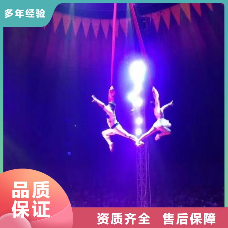 马戏团/羊驼动物表演多年经验
