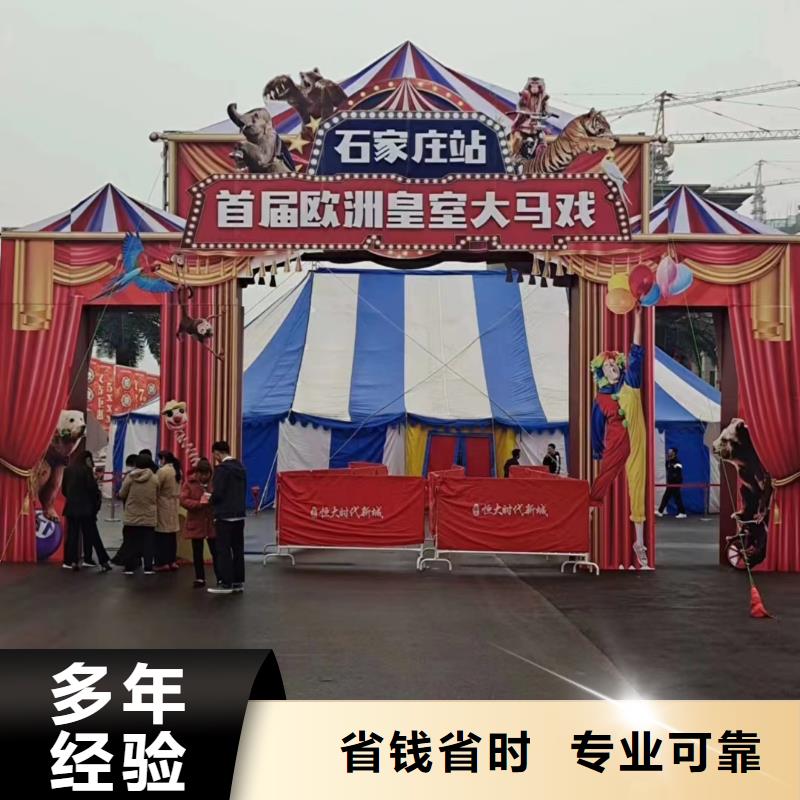 马戏团/羊驼动物杂技表演租赁专业服务