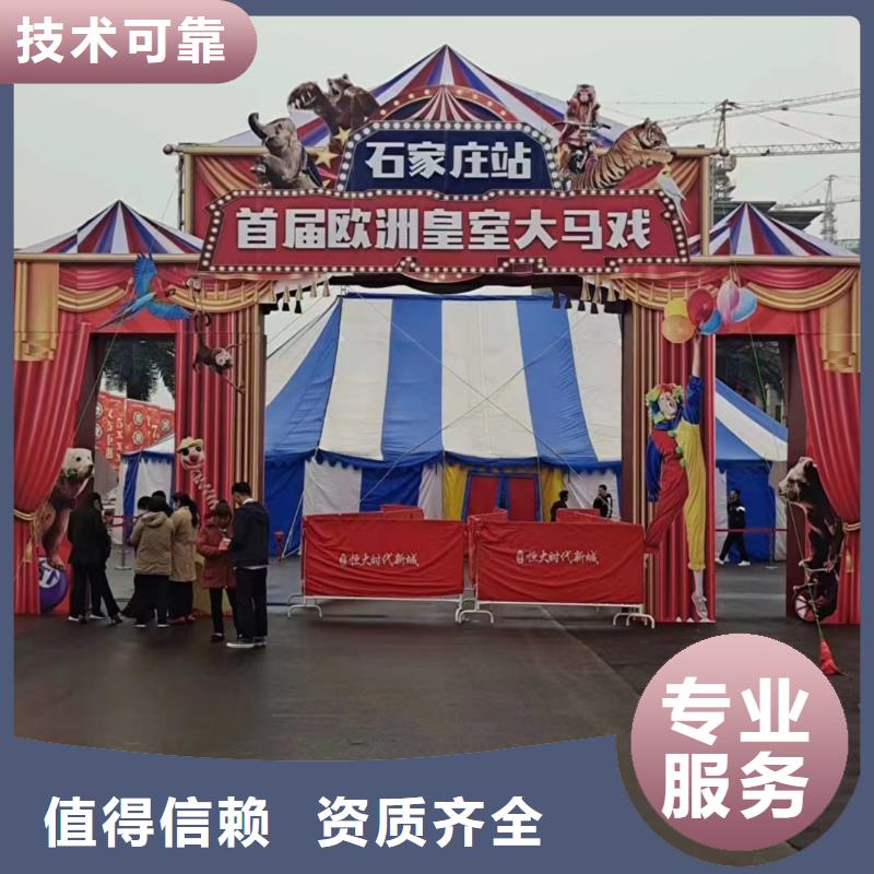 马戏团/羊驼_【海狮租赁表演】好评度高