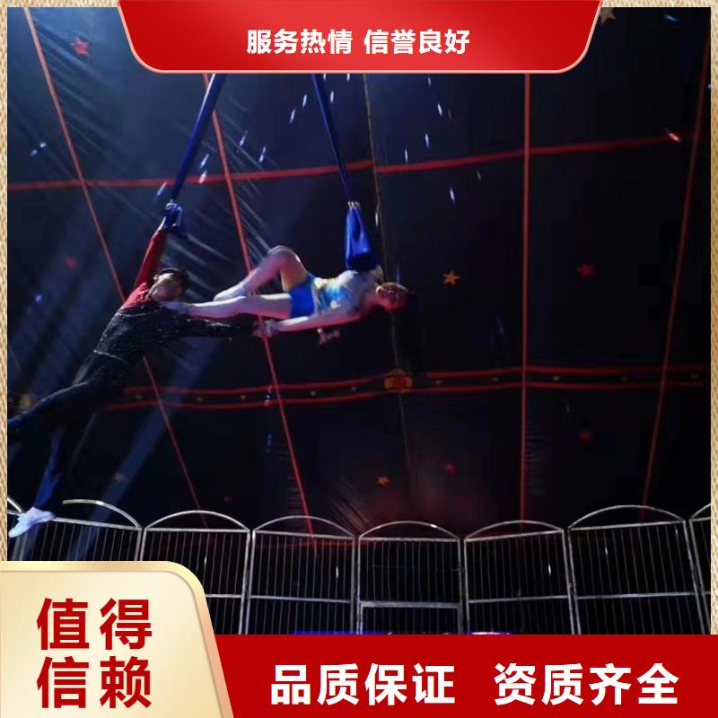 马戏团/羊驼海狮表演出租解决方案