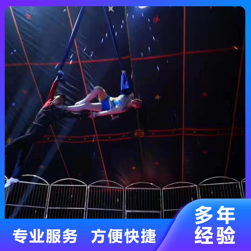 马戏团/羊驼 海豚表演行业口碑好