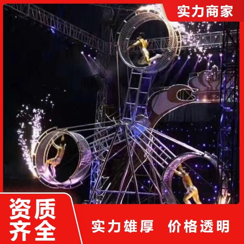 马戏团表演-视频-长安|晋州|邯郸|秦皇岛|衡水|保定马戏团表演长期合作-兮洋动物展览(石家庄市分公司)