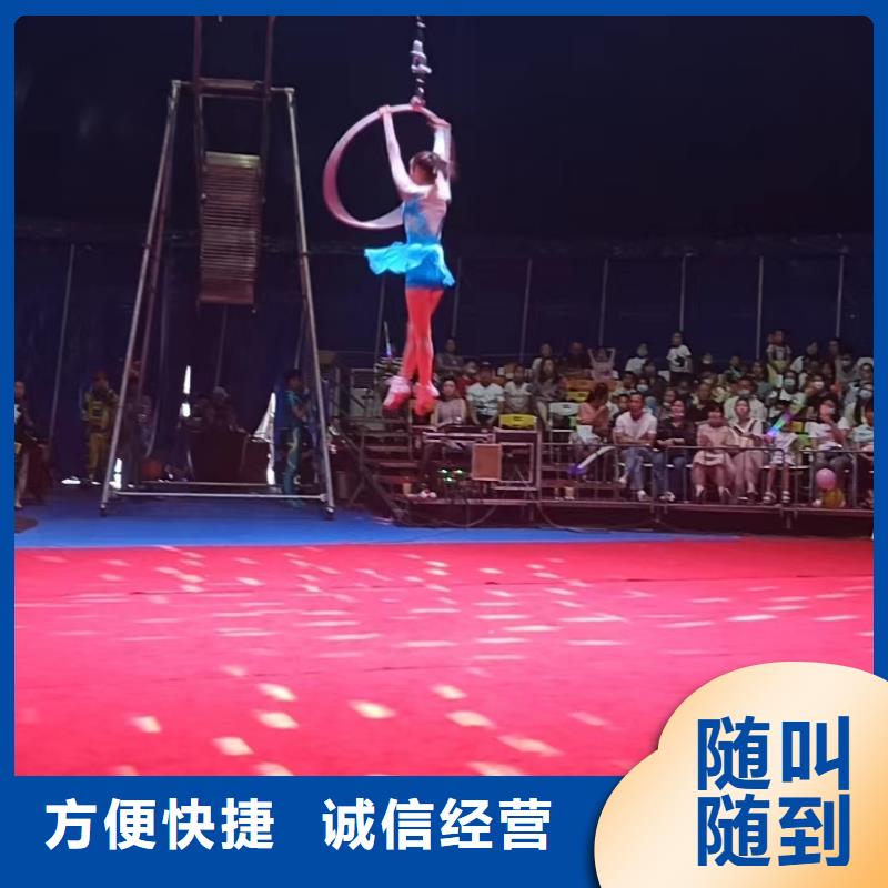 马戏团/羊驼鹦鹉表演租赁明码标价