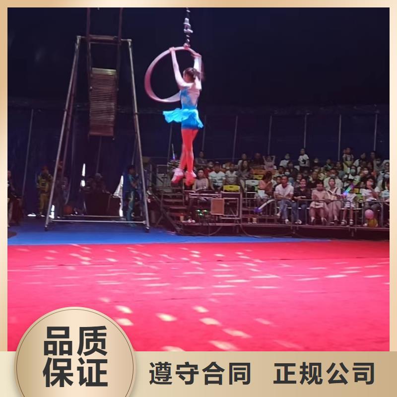 马戏团/羊驼_海狮表演租赁质量保证