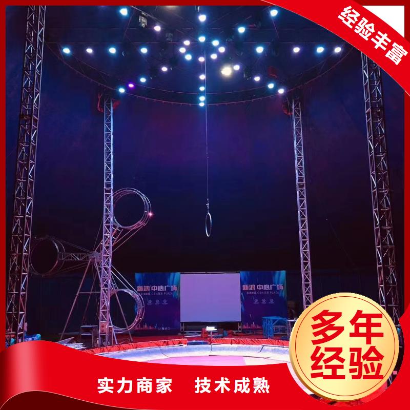 马戏团/羊驼海狮表演租赁解决方案