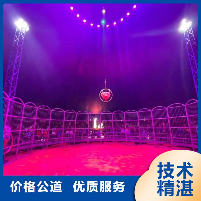 马戏团表演-视频-马戏团表演-安徽省巢湖市池州|马鞍山|阜阳|亳州|安庆(附近)服务商