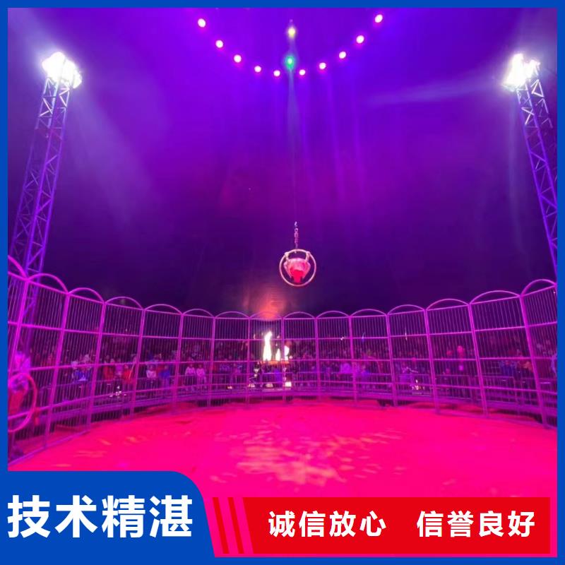 马戏团表演-视频-马戏团表演-青海省海北市黄南|西宁|海东|海西|海南|果洛|玉树【本土】制造商