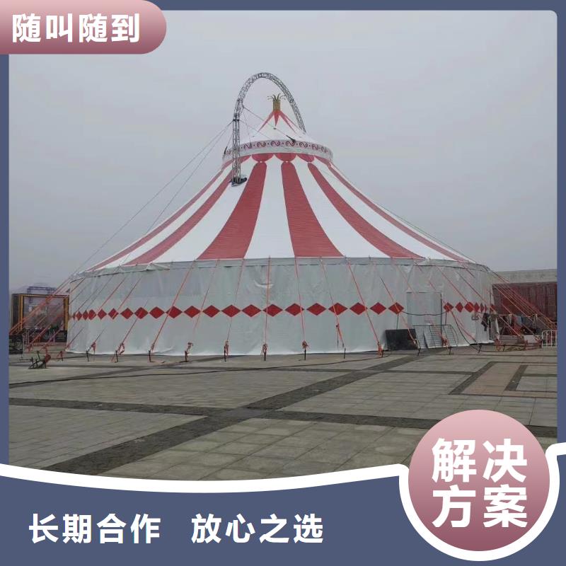 马戏团/羊驼 羊驼出租资质齐全