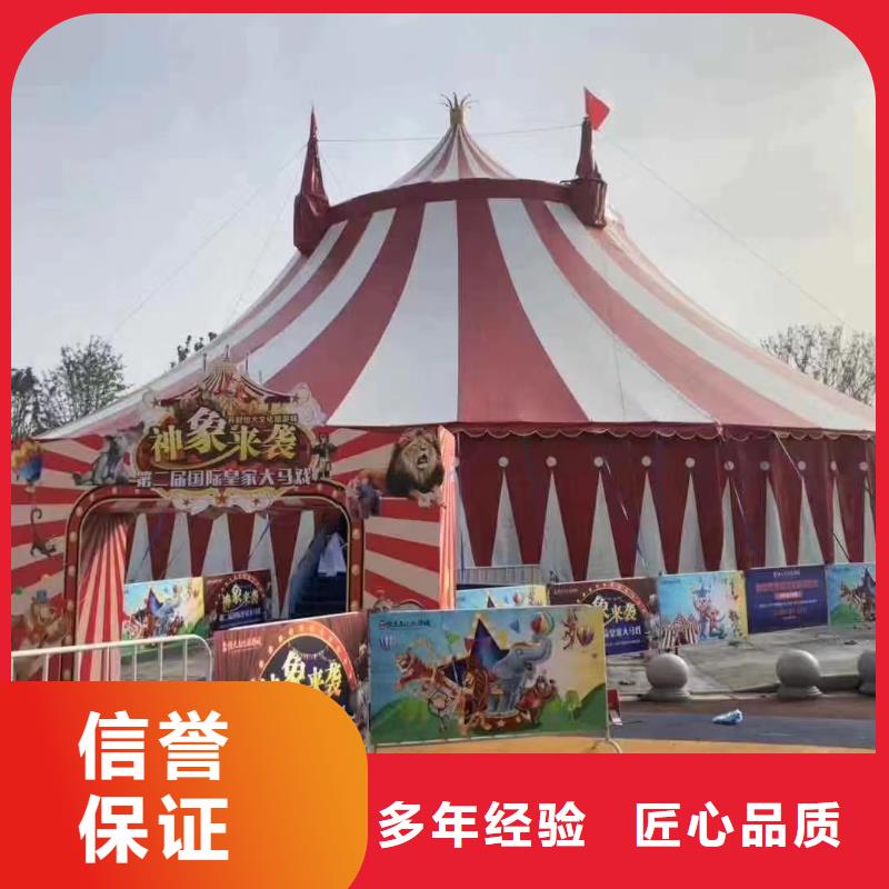 马戏团/羊驼羊驼出租比同行便宜