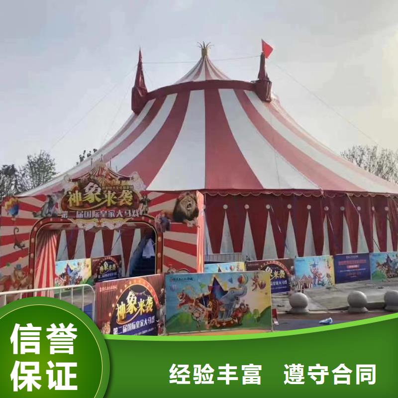 马戏团表演-视频-马戏团表演-安徽省巢湖市池州|马鞍山|阜阳|亳州|安庆(附近)服务商