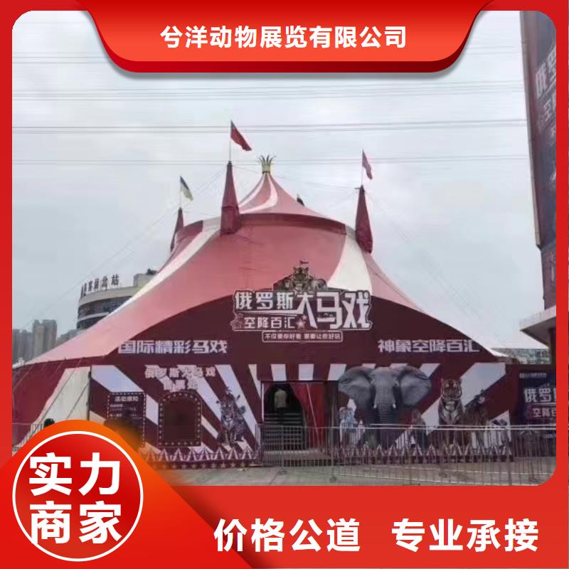 动物展出租
