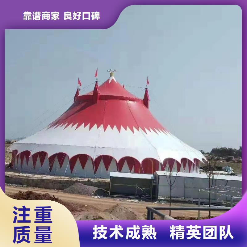 马戏团/羊驼,海狮表演出租技术可靠