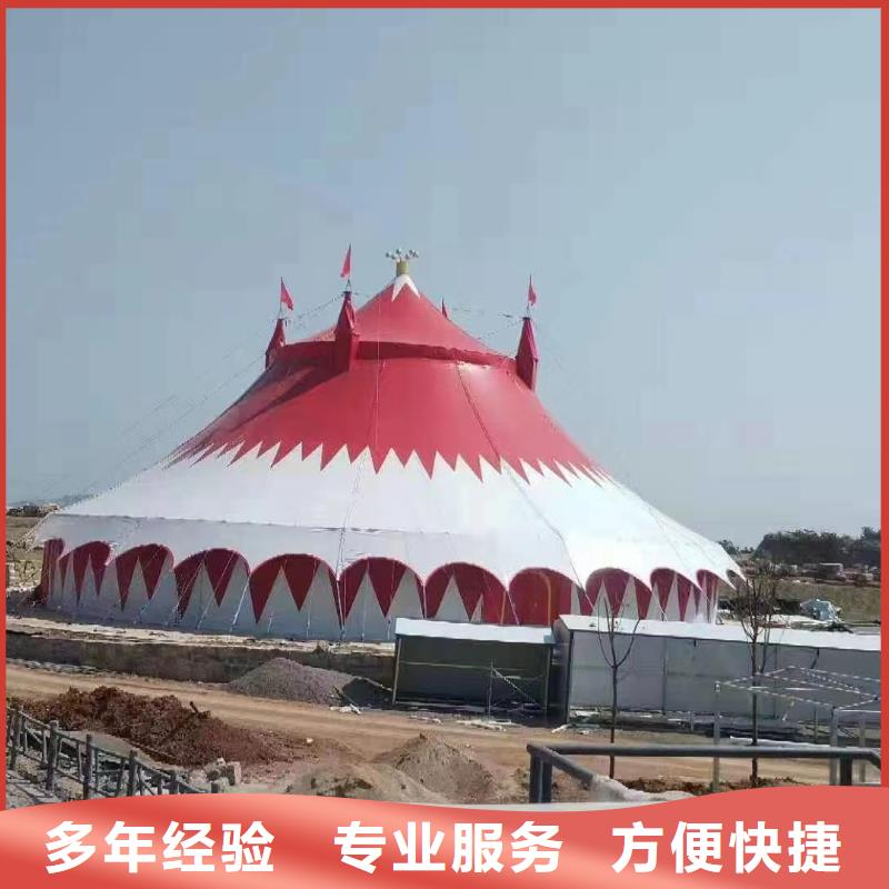 马戏团/羊驼动物杂技表演租赁专业服务