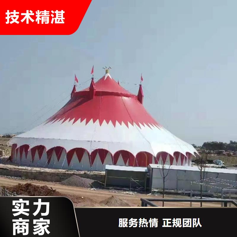 马戏团/羊驼【马戏团表演出租租赁】服务热情