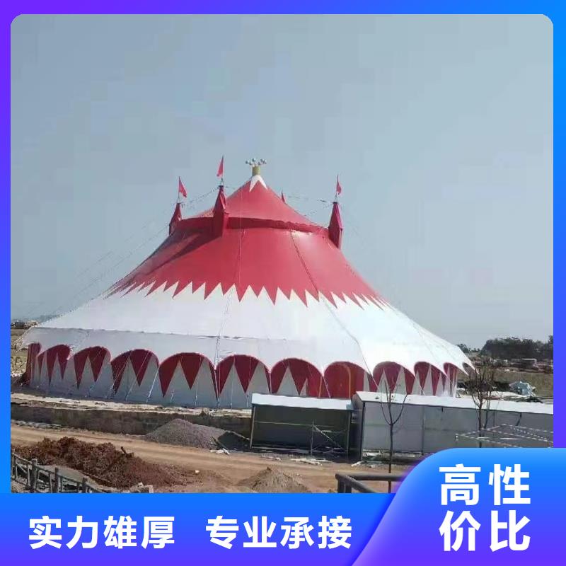马戏团/羊驼美人鱼表演多年行业经验