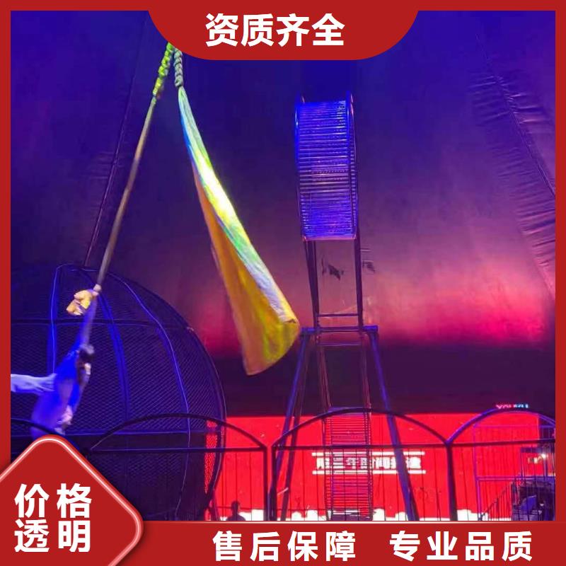 马戏团/羊驼美人鱼表演实力公司