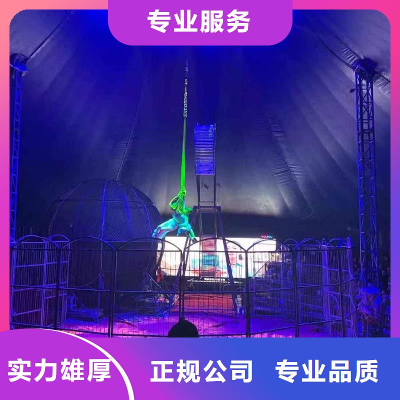马戏团/羊驼-海洋展租赁精英团队