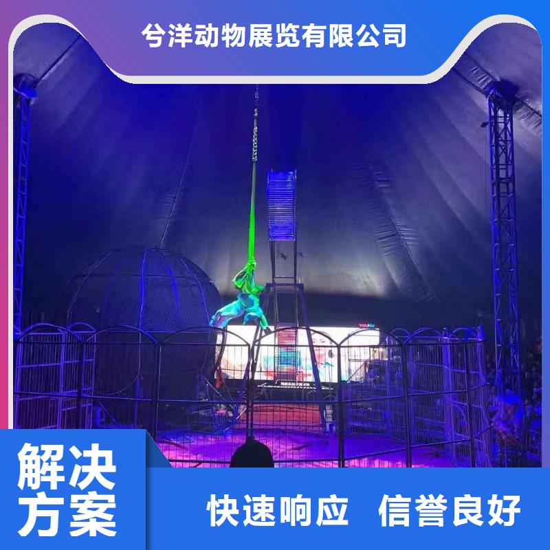马戏团/羊驼马戏团表演出租租赁口碑商家