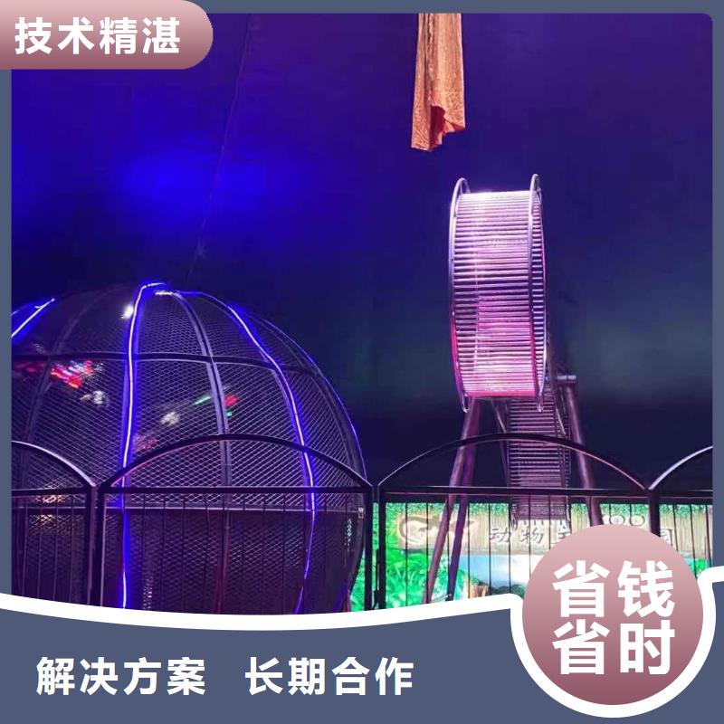 租赁马戏团表演全国承接