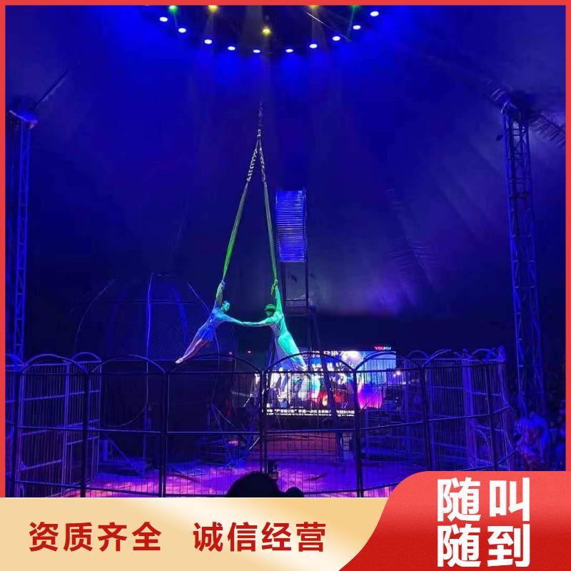 马戏团表演租赁一手资源