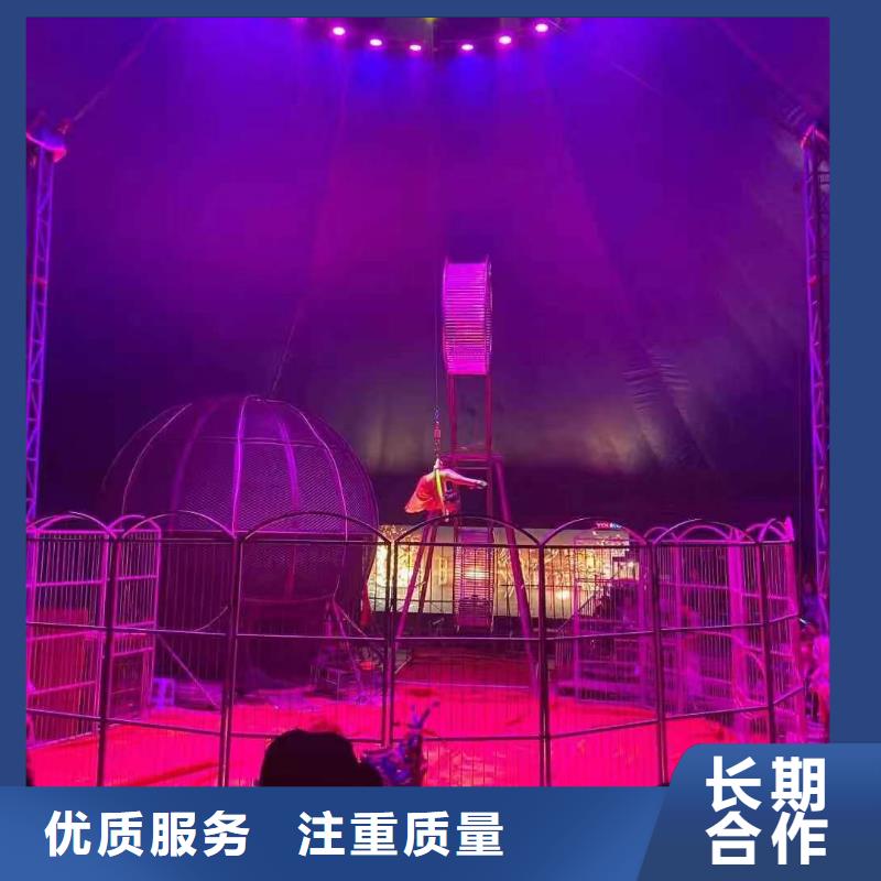 马戏团/羊驼_动物杂技表演效果满意为止