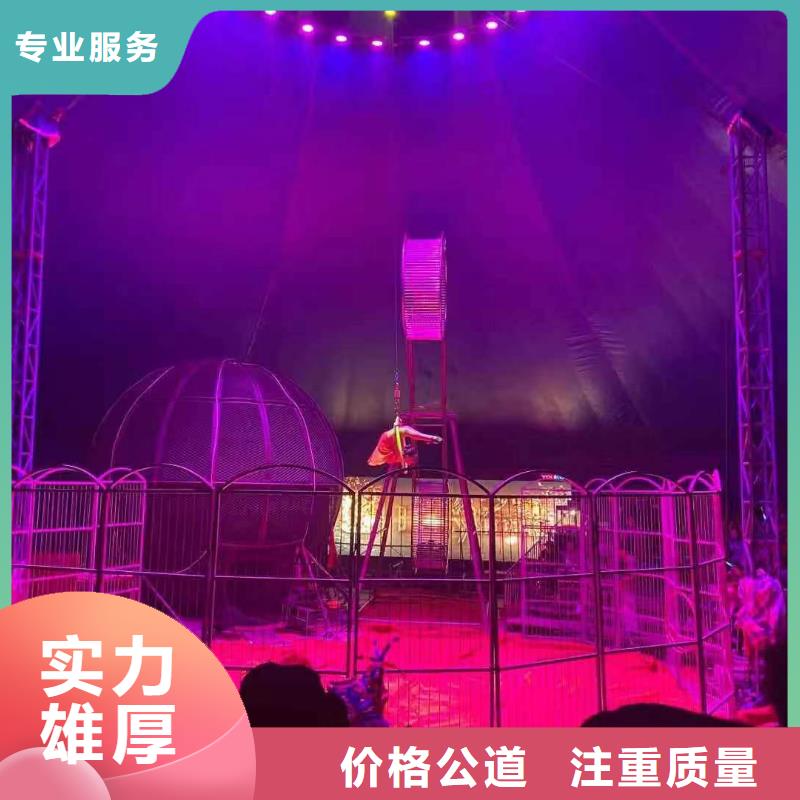 马戏团/羊驼【美人鱼出租演出】技术可靠