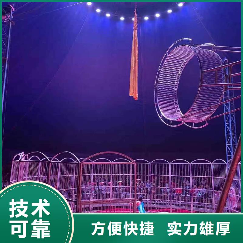 马戏团/羊驼景区杂技表演效果满意为止
