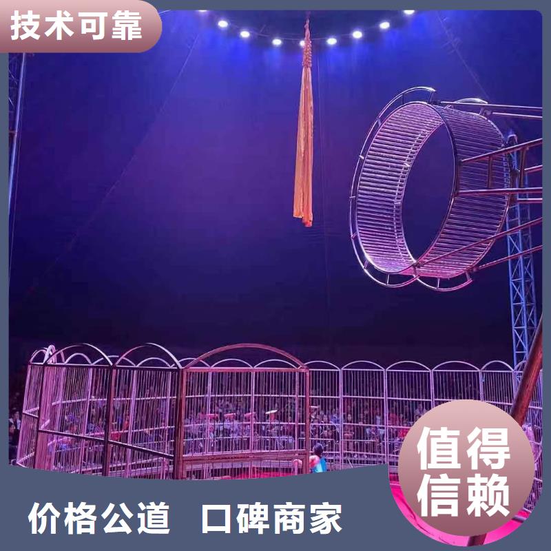 马戏团表演-视频-马戏团表演|云南省曲靖市|陆良|会泽|文山|大理|西双版纳|临沧|怒江