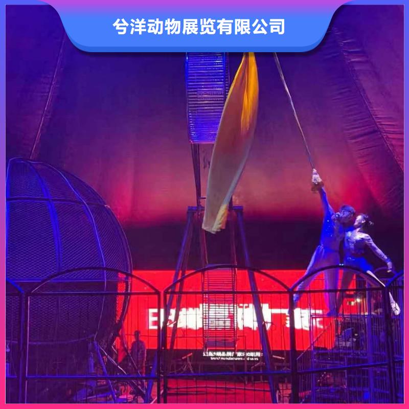 马戏团表演-视频-马戏团表演|云南省曲靖市|陆良|会泽|文山|大理|西双版纳|临沧|怒江