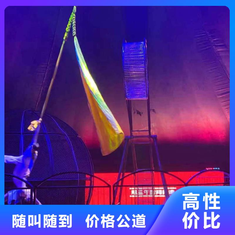 【马戏团/羊驼_出租表演羊驼资质齐全】