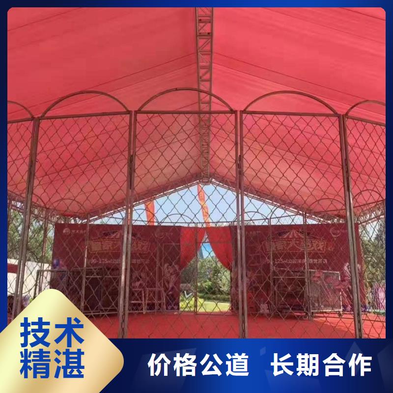 马戏团/羊驼,【活体羊驼租赁】承接