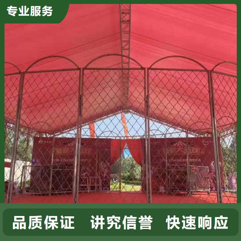 马戏团/羊驼动物表演多年经验