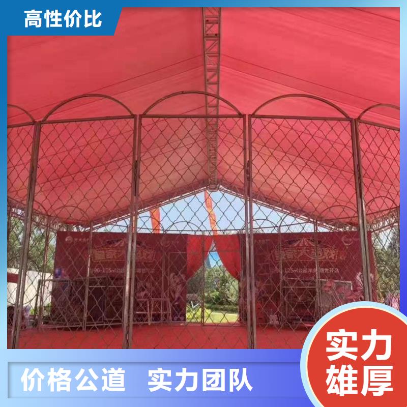 马戏团/羊驼小马戏表演出租放心