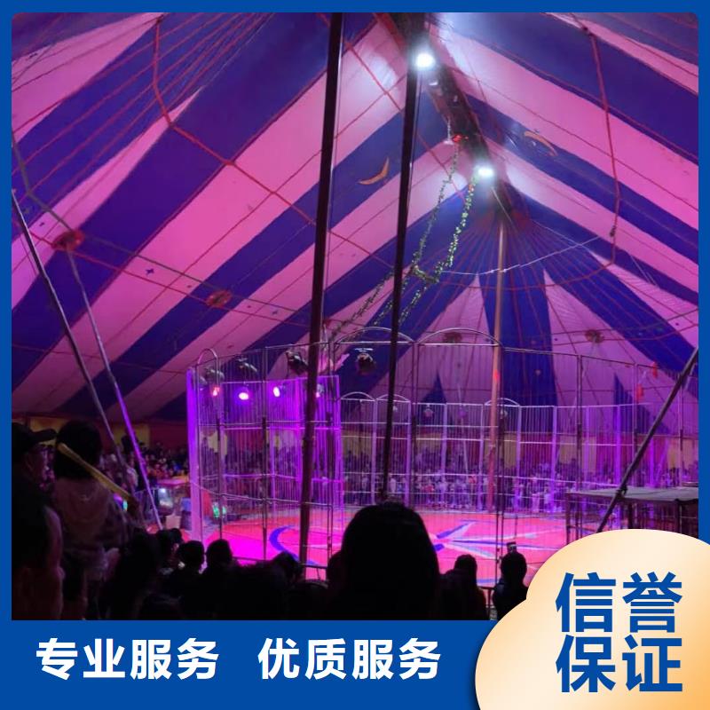 马戏团表演-视频-马戏团表演-青海省海北市黄南|西宁|海东|海西|海南|果洛|玉树【本土】制造商