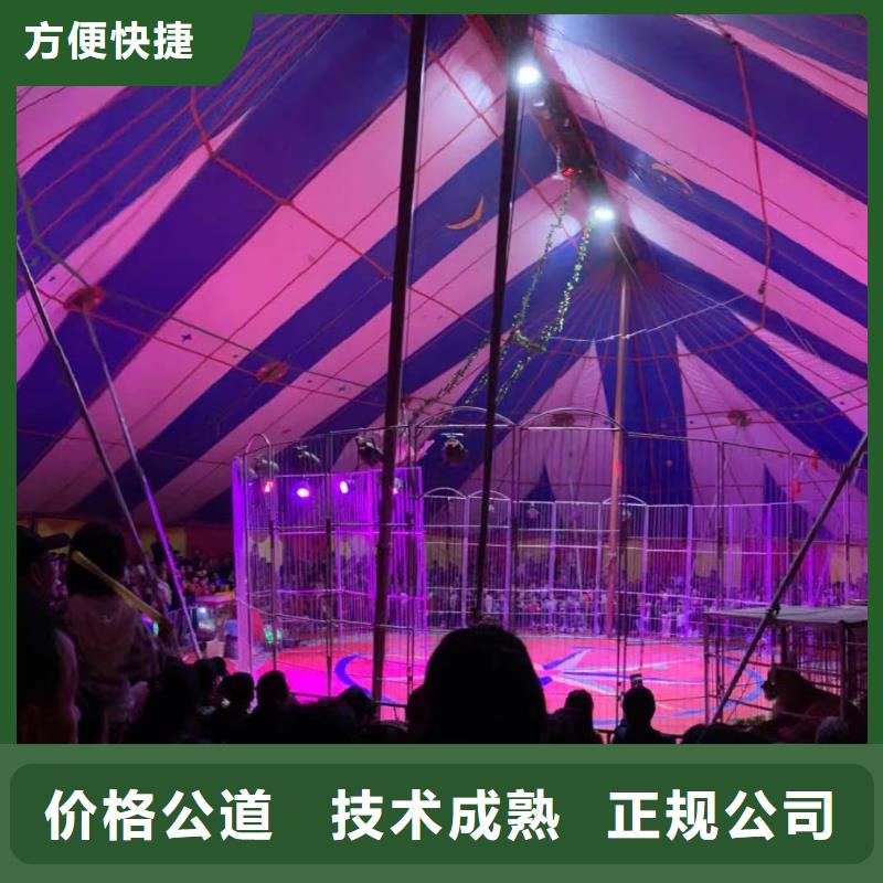 马戏团/羊驼企鹅出租表演实力强有保证