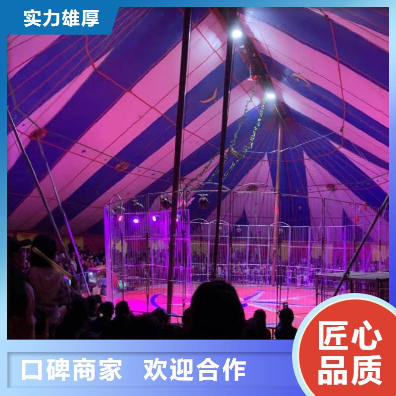 马戏团/羊驼 出租企鹅