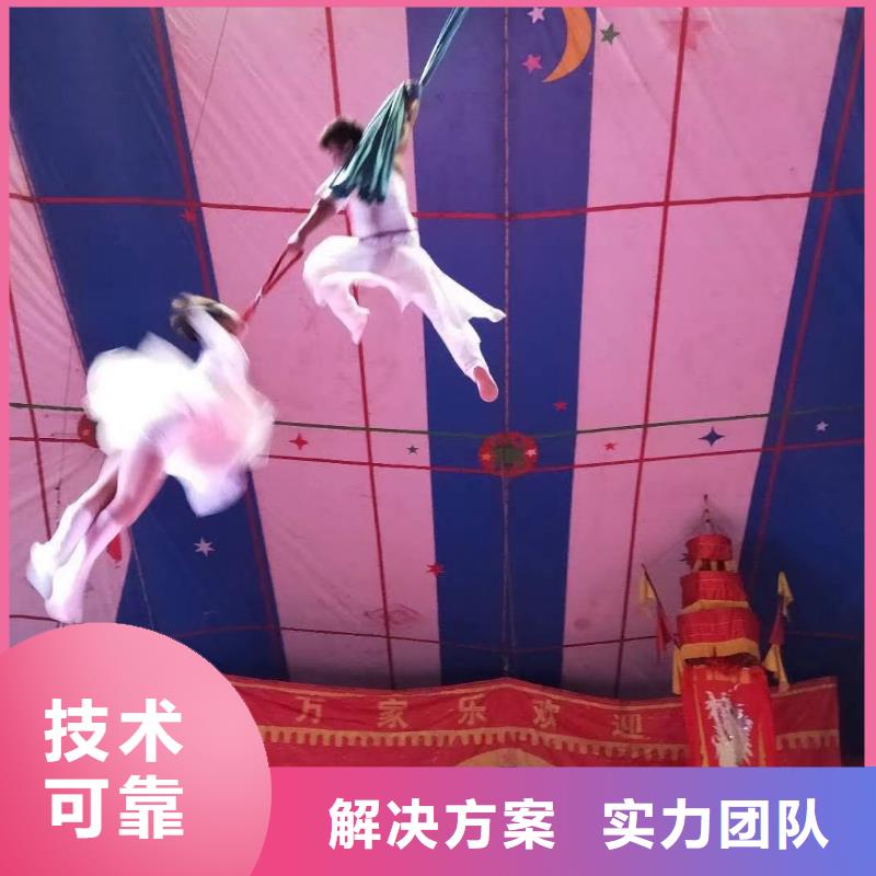马戏团/羊驼景区杂技表演效果满意为止