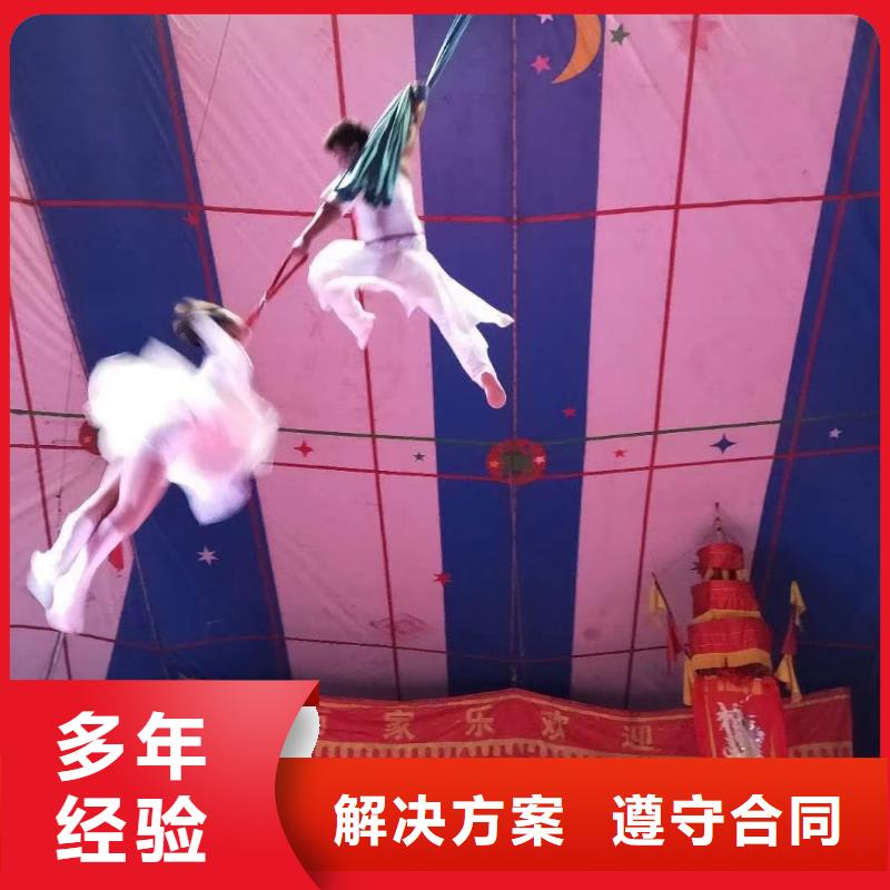 马戏团/羊驼小马戏表演出租放心