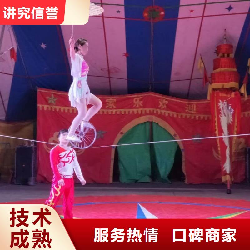 马戏团/羊驼 海豚表演行业口碑好